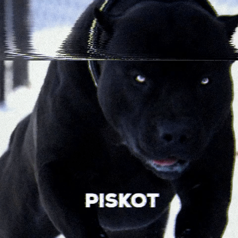 piskot