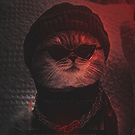 Dev..