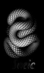 Sneic