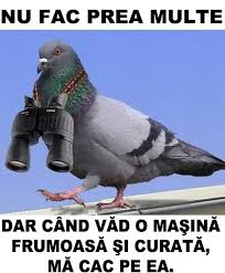 image.png.49ee331d342394af0fff4c6cec36ffa6.png