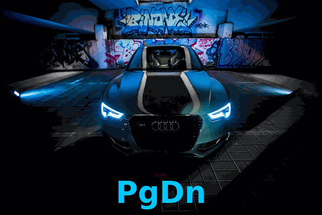 PgDn